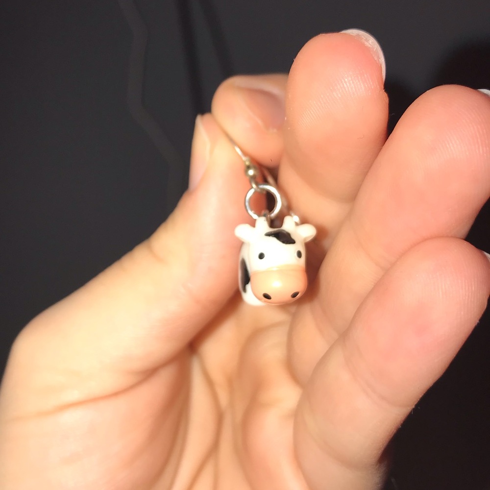 Super fun, cute earrings